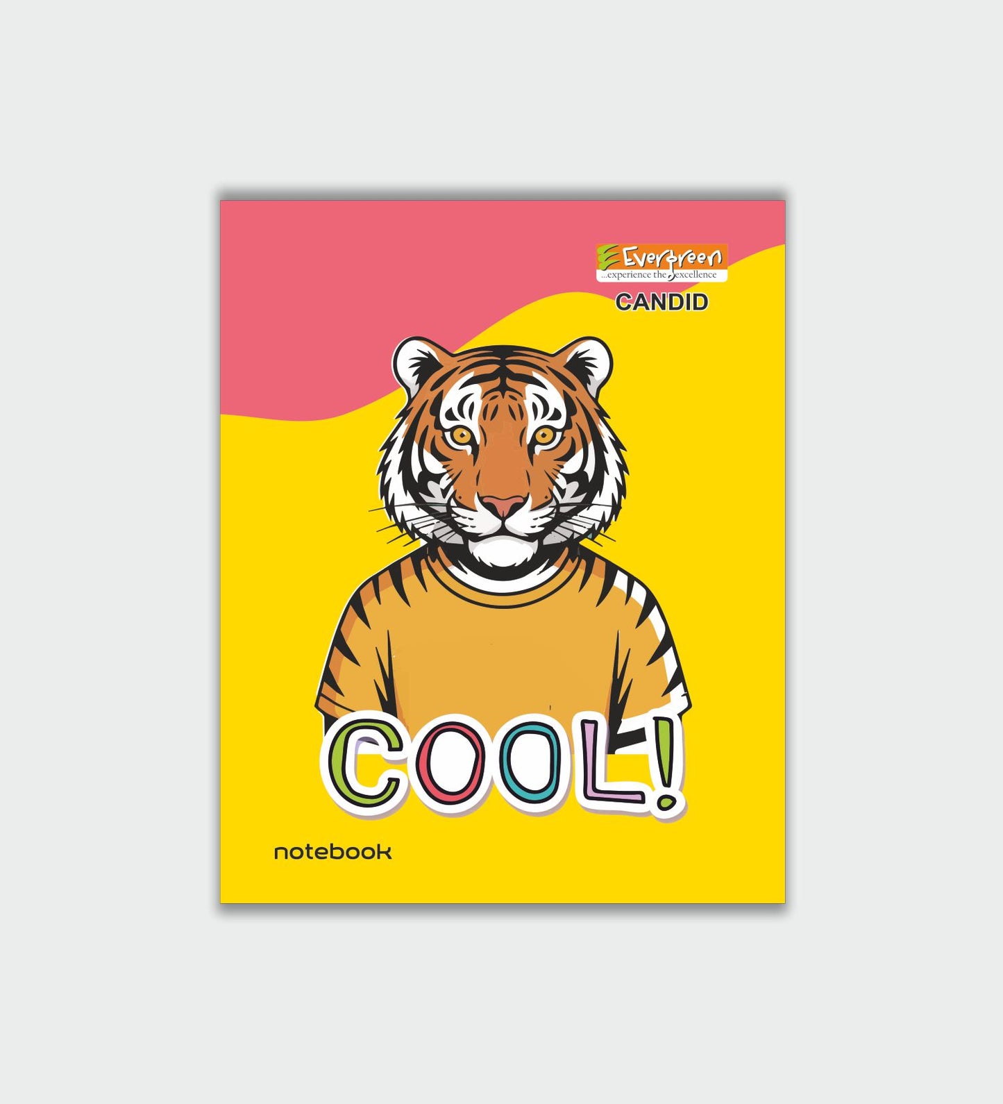 Candid Soft Cover 20x30 Notebook - 148 Pages