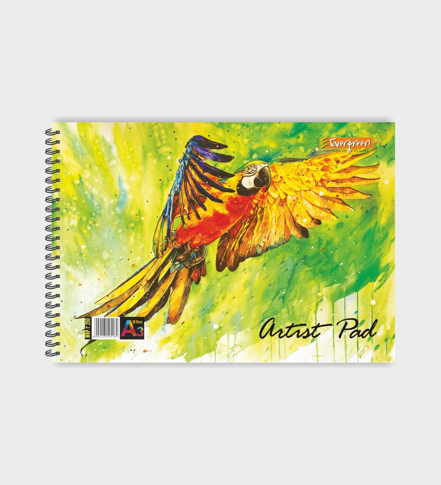 Candid A3 Aartistic Wiro Pad (Drawing) - 100 Pages